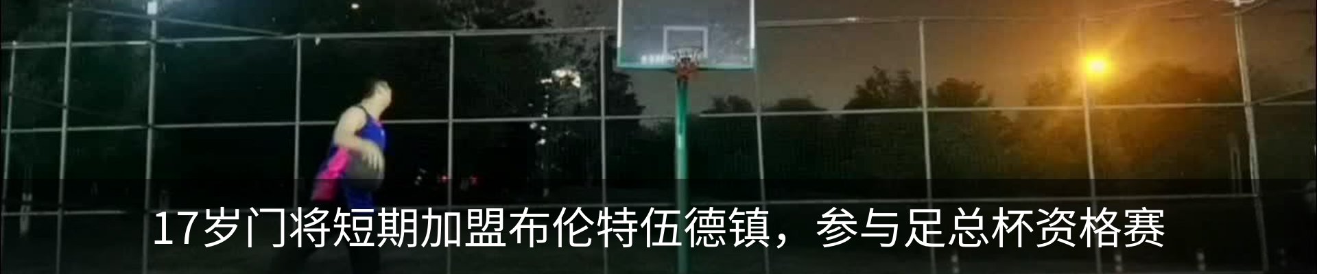 新闻动态